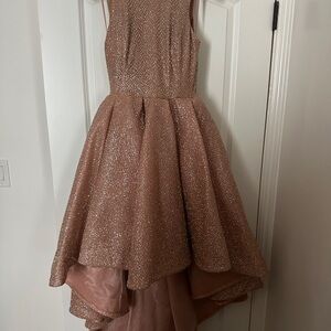 Pink Fit and Flare High-Low Prom Dress
